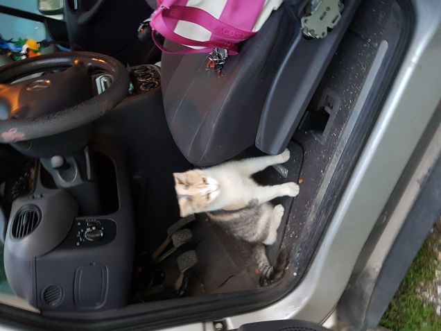 Siamo pronti... partiamo?