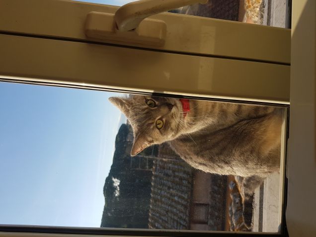 Ce nessunoo loco vuole entrare 