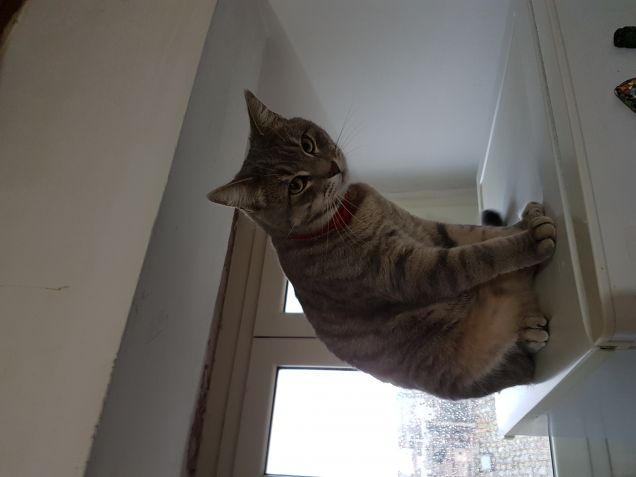 Fuori piove... E non si esce...