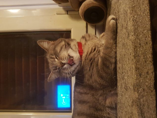 Non disturbatemi...quando dormo