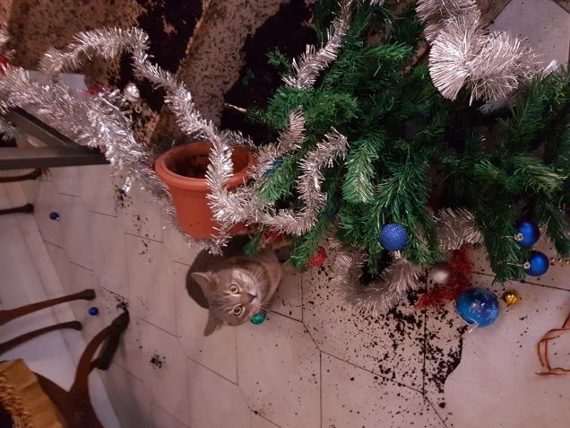 Ops... io nn sono stato