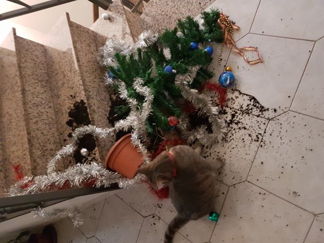 La mamma si sarà arrabbiata??