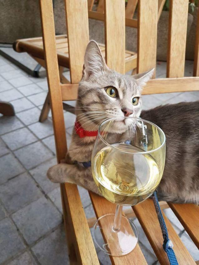 Un augurio speciale a tutti voi amici