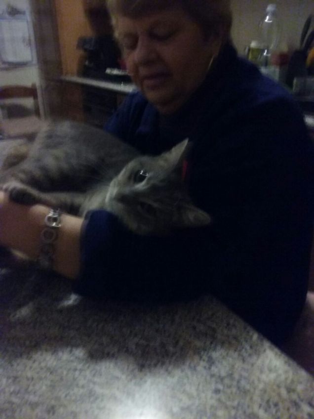 La mams in vacanza io con i nonni