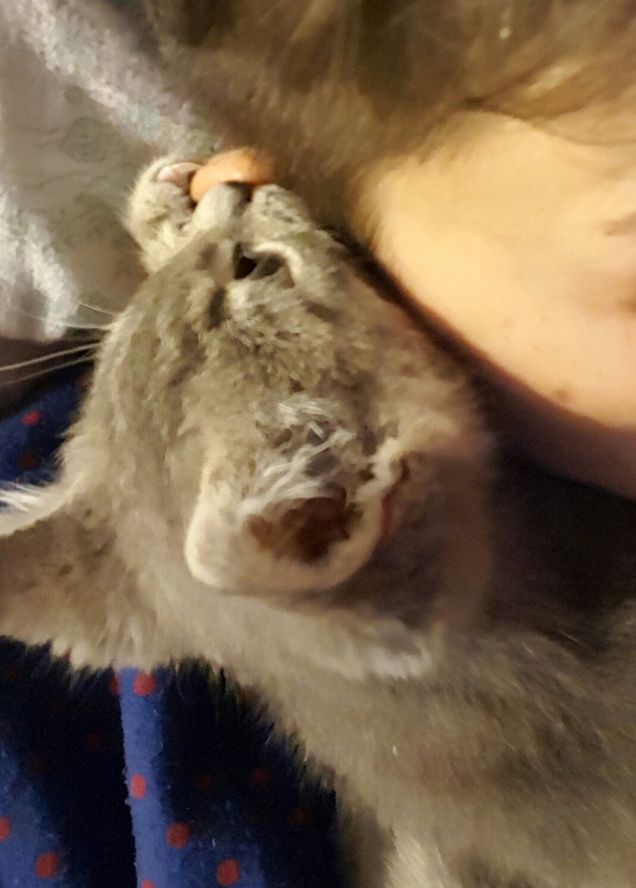 Ti dico una cosa all' orecchio... Ti Amo❤