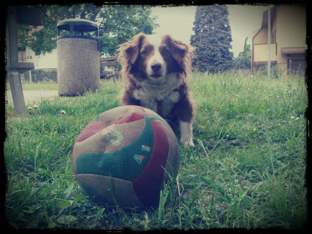 Hey lancia sta palla 2