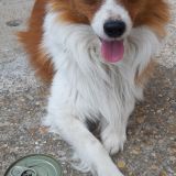 Il mio amore di casa Yago