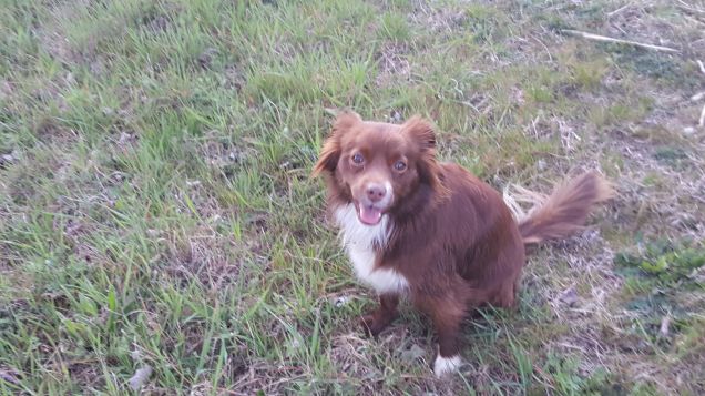 Mi piacciono le foto