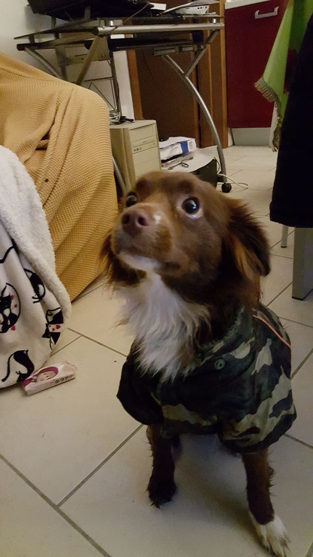 Flo con la tuta mimetica