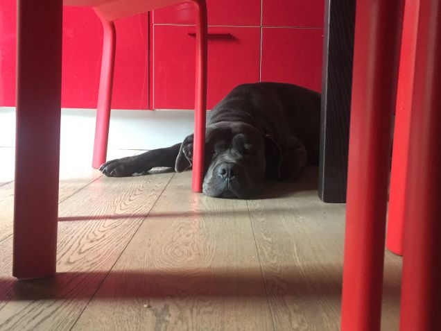 Son ingombrante ma io ancora non lo so