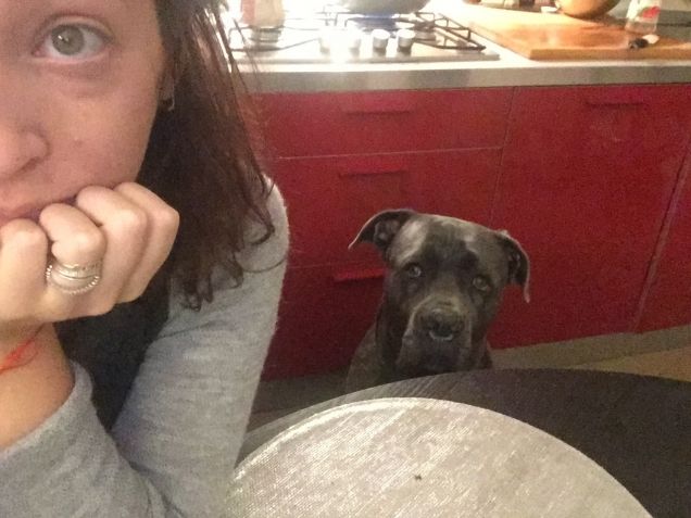 Aspetto che ti caschi qualcosa..