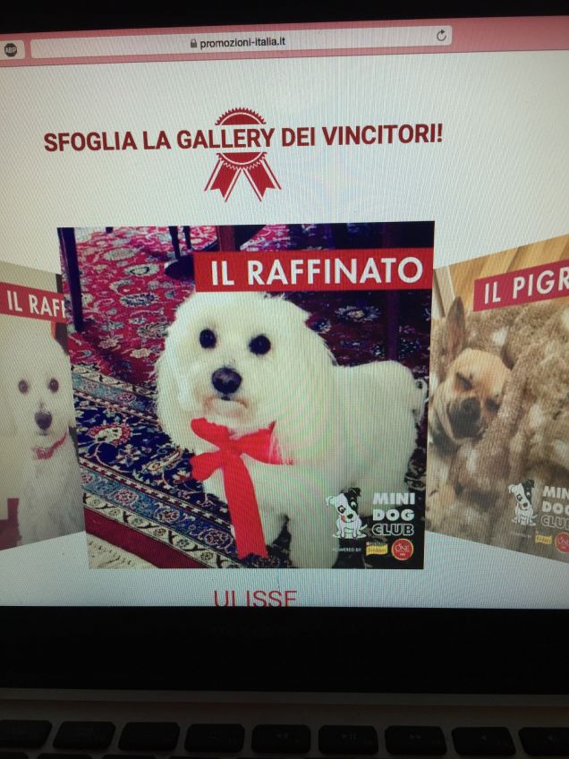 Grazie Purina!