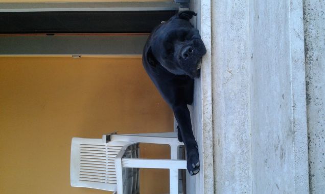 La quiete dopo la tempesta