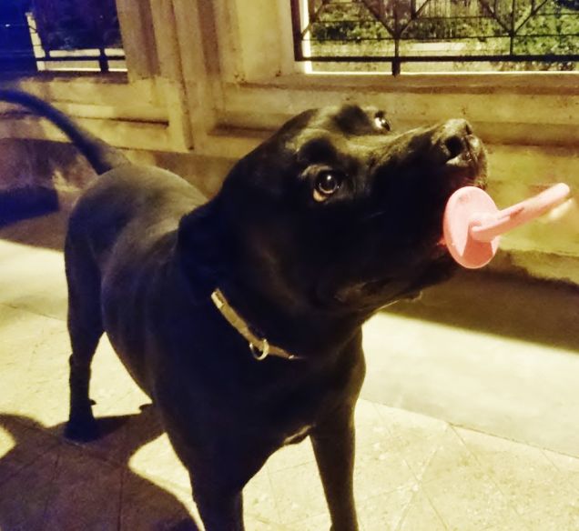 Mia e il suo nuovo ciuccio