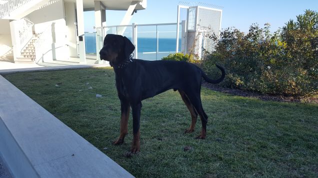 Una mattinata di sole