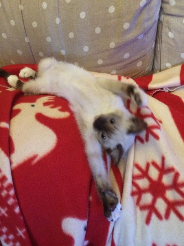 si avvicina l'inverno