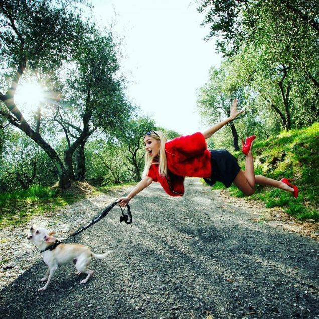 Mai sottovalutare un Chihuahua!