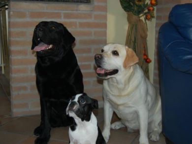 Castiel, Romeo, Beky 