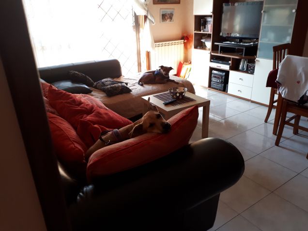 Il divano ormai è  nostro