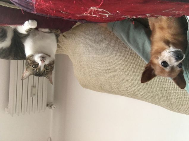 Giornata insieme❤️