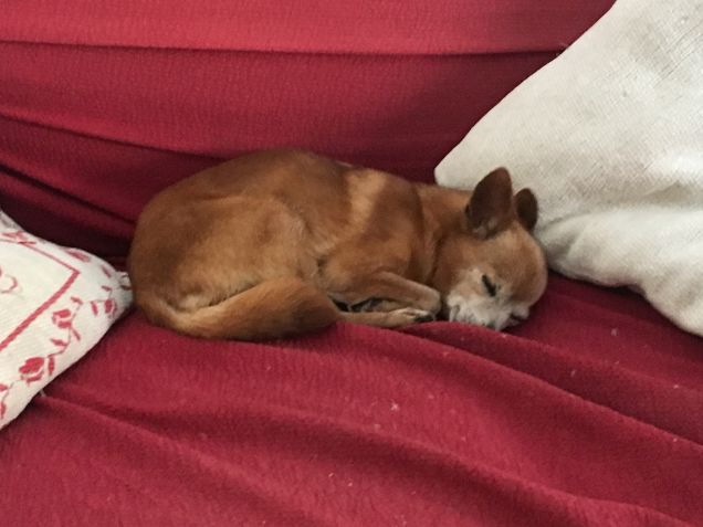 Luna dormigliona❤️