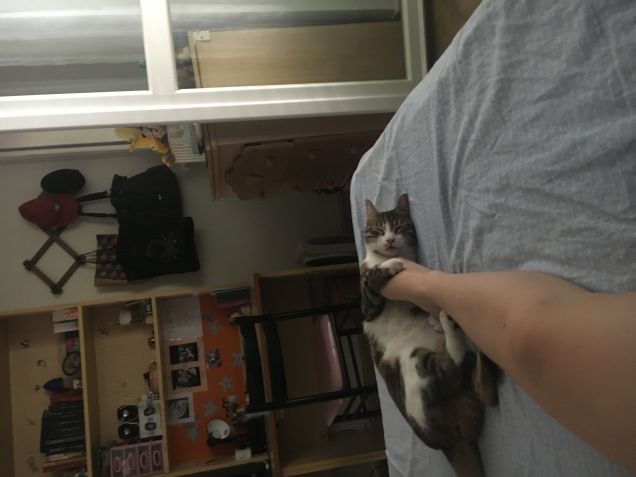 Mi ha rubato il piede!