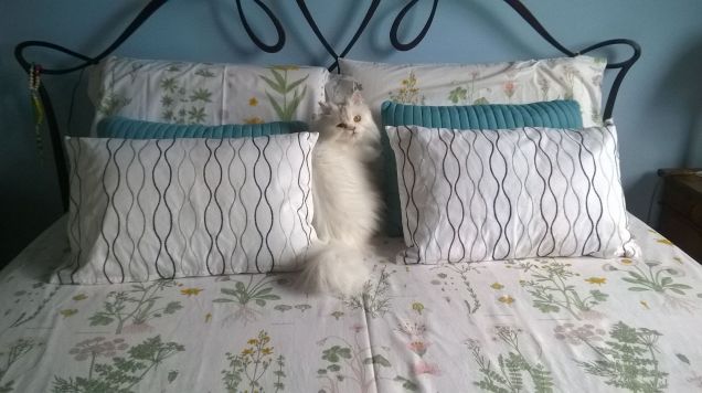 polly e il suo mondo