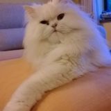 barbara