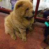 Gli amici di Aisha: Aaron