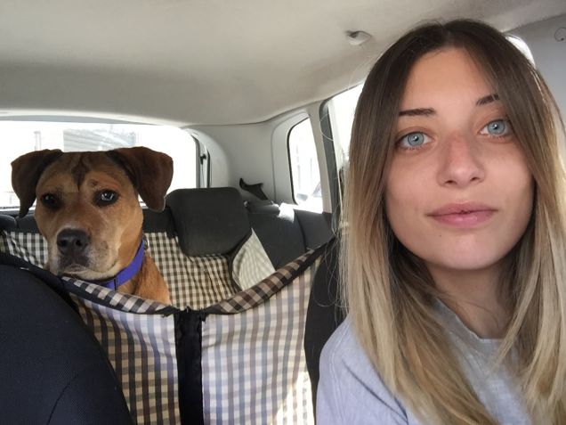 Il Post pranzo ci piace 