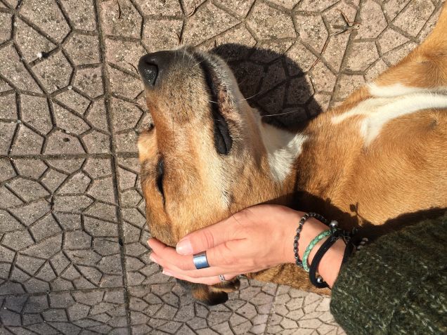 Domenica mattina 1 ottobre