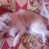 Con la mia sorellina 