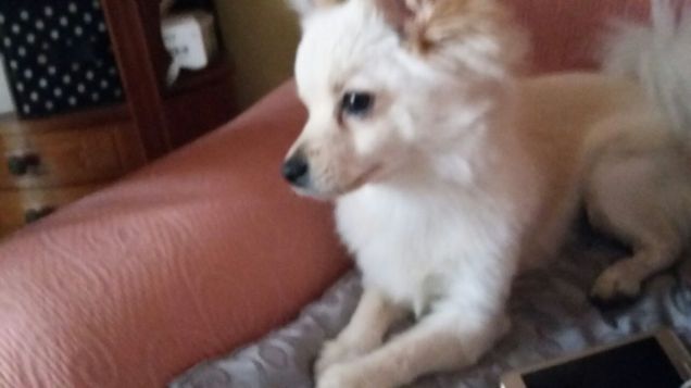 Controllo della situazione 