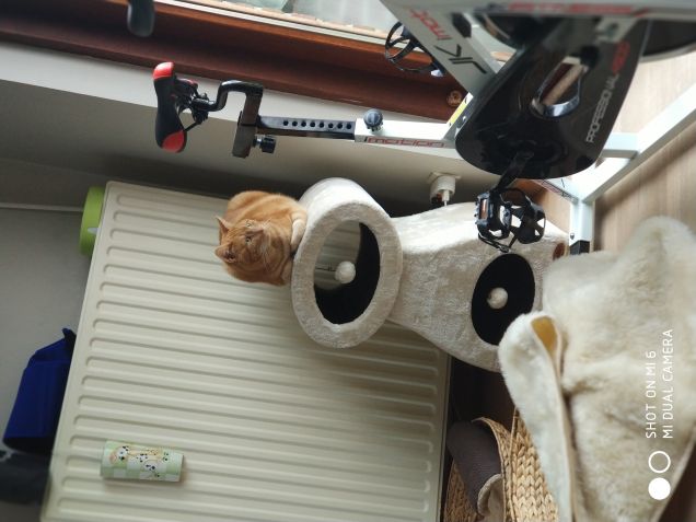 Il guardiano della galassia