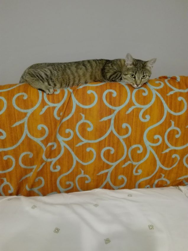 Scoprire nuove comodità