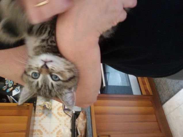 Appena arrivato a casa