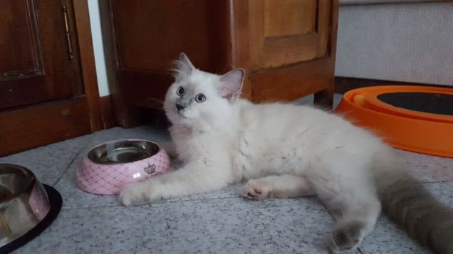 Non portatemi via l'acqua!