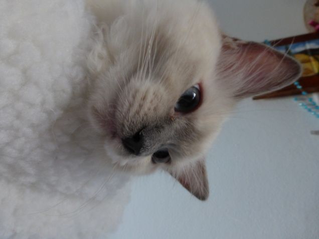 Cosa c'è lì sotto?