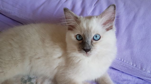 Qualcuno vuole perdersi nei miei occhi?