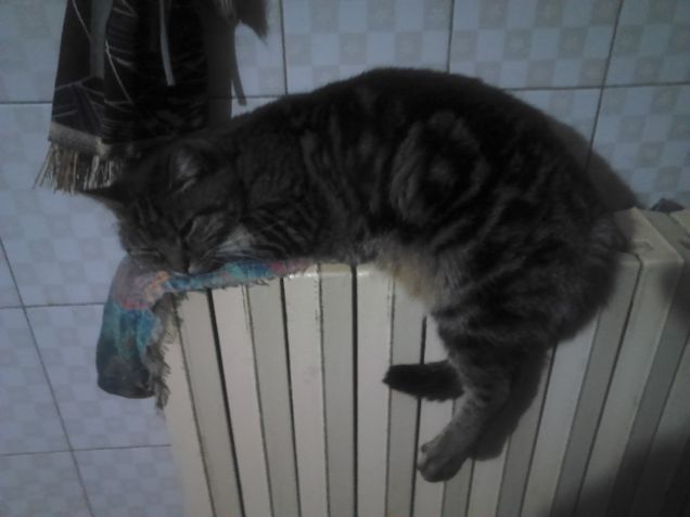 Quando l'inverno è già arrivato