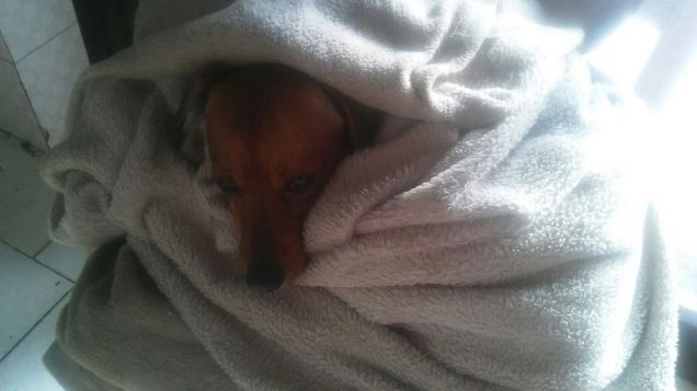 e il freddo non ci piace proprio