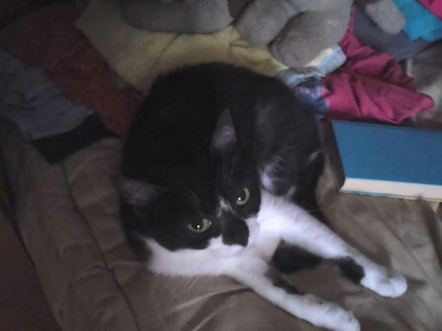 Rari momenti di pace