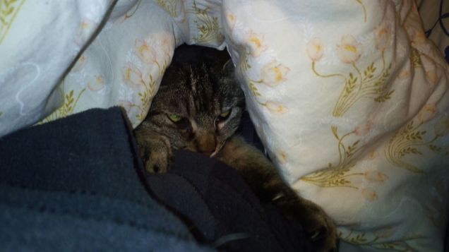 Ma quanta paura faccio ???!!!