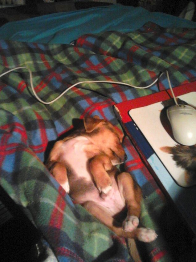 Ma quanto ero dolce da piccolo ???!!!!