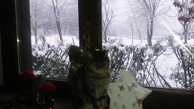 E anche le festività natalizie sono finite uffi