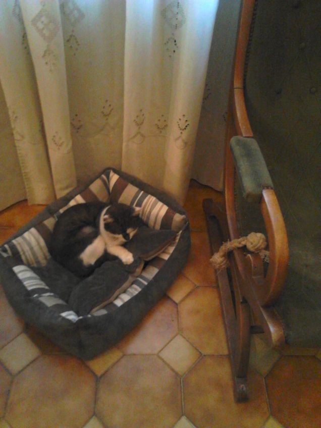 Col freddo trovo posto in casa anche io!