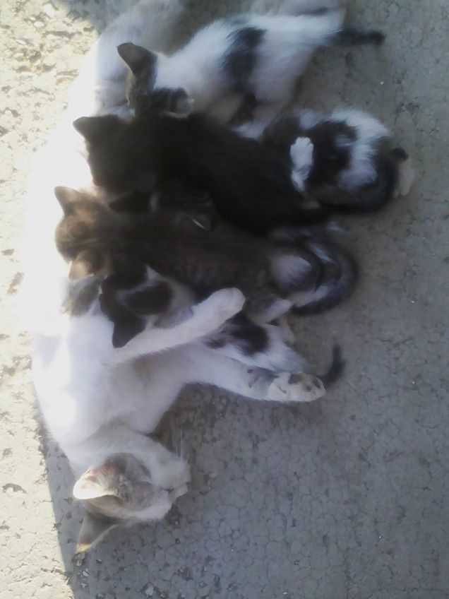 Fameeeeeeeeeeeeeeeee