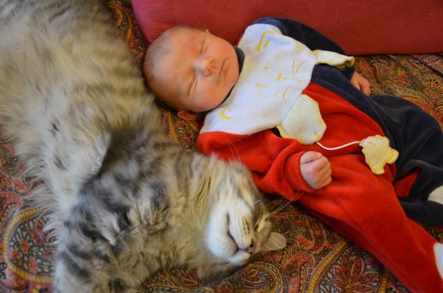 Nelle braccia di Morfeo