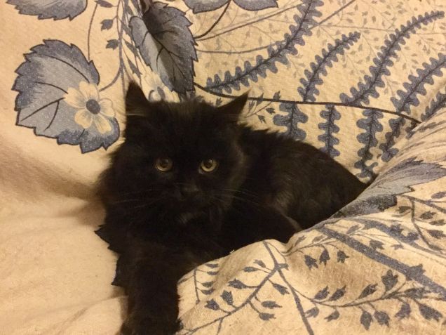 Ma quanto bella sono??