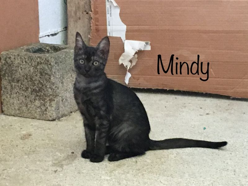 Mindy e il suo mantello particolare